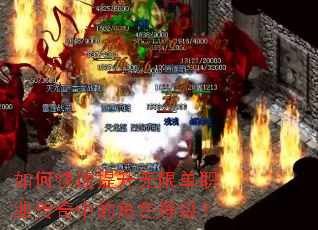 ��ο����������޵�ְҵ�����еĽ�ɫ�ȼ���