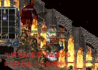 ��θ�Чˢȡ��Ѫ��BOSS��������Ʒװ�����ʣ�