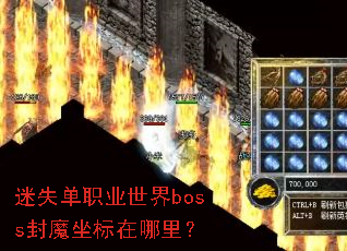 ��ʧ��ְҵ����boss��ħ���������