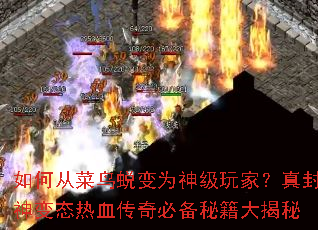 如何从菜鸟蜕变为神级玩家?真封神变态热血传奇必备秘籍大揭秘 如何从菜鸟蜕变为神级玩家?真封神变态热血传奇必备秘籍大揭秘