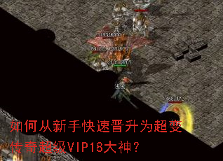 ��δ����ֿ��ٽ���Ϊ���䴫�泬��VIP18����