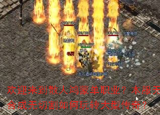 ��ӭ����ɢ�˺��ɵ�ְҵ�������޺ϳ����и������ת���ʹ��棿