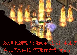 ��ӭ����ɢ�˺��ɵ�ְҵ�������޺ϳ����и������ת���ʹ��棿