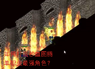 ��δ�����Ѫͼ�ڵ�ְҵ��ǿ��ɫ��