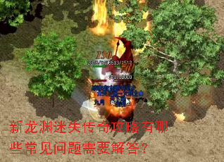 ����Ԩ��ʧ���湥������Щ����������Ҫ���