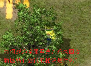 如何成为全服至尊?永久回收新区钻石会员的秘诀是什么? 如何成为全服至尊?永久回收新区钻石会员的秘诀是什么?