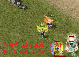 如何成为全服至尊?永久回收新区钻石会员的秘诀是什么? 如何成为全服至尊?永久回收新区钻石会员的秘诀是什么?