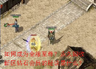 如何成为全服至尊?永久回收新区钻石会员的秘诀是什么? 如何成为全服至尊?永久回收新区钻石会员的秘诀是什么?