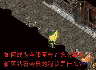 如何成为全服至尊?永久回收新区钻石会员的秘诀是什么? 如何成为全服至尊?永久回收新区钻石会员的秘诀是什么?