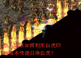 ɢ�����������ð׻�ӡʩ���������ٻ��׻���