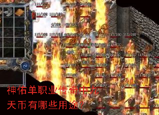 ���ӵ�ְҵ�����о��������Щ��;��
