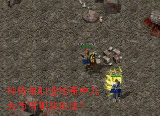 ���ӵ�ְҵ�����о��������Щ��;��