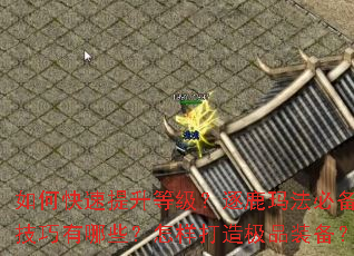 如何快速提升等级?逐鹿玛法必备技巧有哪些?怎样打造极品装备? 如何快速提升等级?逐鹿玛法必备技巧有哪些?怎样打造极品装备?