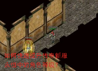 如何快速提升传奇新服永恒中的角色等级? 如何快速提升传奇新服永恒中的角色等级?