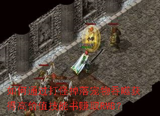 如何通过打怪掉落宠物吞噬获得高价值技能书赚取RMB? 如何通过打怪掉落宠物吞噬获得高价值技能书赚取RMB?