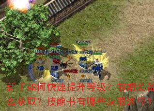 新手如何快速提升等级?前期装备怎么获取?技能书有哪些获取途径? 新手如何快速提升等级?前期装备怎么获取?技能书有哪些获取途径?
