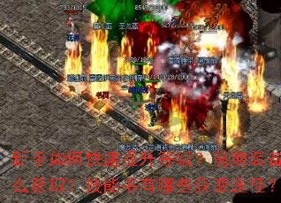 新手如何快速提升等级?前期装备怎么获取?技能书有哪些获取途径? 新手如何快速提升等级?前期装备怎么获取?技能书有哪些获取途径?
