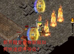 �¿����䴫���·���ο��������ȼ���