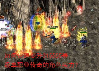 ��ο�������315555�ȼ���ְҵ����Ľ�ɫʵ����