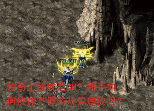 传奇上线就是GM?新手如何快速掌握游戏管理权限? 传奇上线就是GM?新手如何快速掌握游戏管理权限?