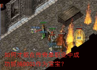 如何才能在传奇单职业中成功抓捕BOSS作为宝宝? 如何才能在传奇单职业中成功抓捕BOSS作为宝宝?