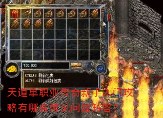 天道单职业传奇新手入门攻略有哪些常见问题解答? 天道单职业传奇新手入门攻略有哪些常见问题解答?