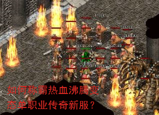 ��γư���Ѫ���ڱ�̬��ְҵ�����·���