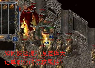 ��ο�������ħ������ǵ�ְҵ�ı������ԣ�
