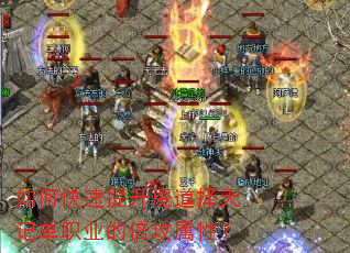 ��ο�������ħ������ǵ�ְҵ�ı������ԣ�