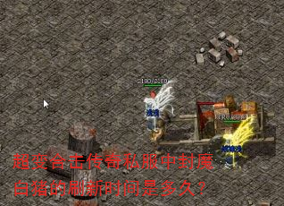 超变合击传奇私服中封魔白猪的刷新时间是多久? 超变合击传奇私服中封魔白猪的刷新时间是多久?