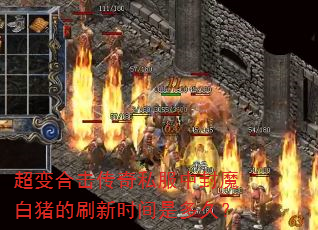 超变合击传奇私服中封魔白猪的刷新时间是多久? 超变合击传奇私服中封魔白猪的刷新时间是多久?