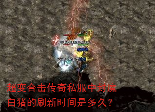 超变合击传奇私服中封魔白猪的刷新时间是多久? 超变合击传奇私服中封魔白猪的刷新时间是多久?