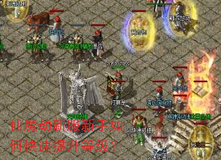 仙魔劫新服新手如何快速提升等级? 仙魔劫新服新手如何快速提升等级?