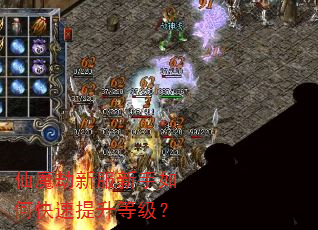 仙魔劫新服新手如何快速提升等级? 仙魔劫新服新手如何快速提升等级?