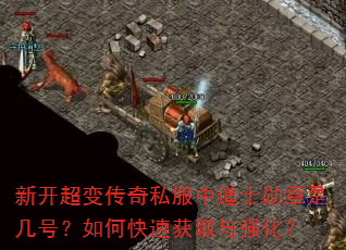 新开超变传奇私服中道士勋章是几号?如何快速获取与强化? 新开超变传奇私服中道士勋章是几号?如何快速获取与强化?