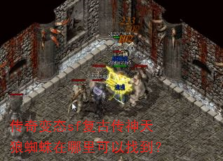传奇变态sf复古传神天狼蜘蛛在哪里可以找到? 传奇变态sf复古传神天狼蜘蛛在哪里可以找到?