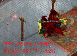 传奇变态sf复古传神天狼蜘蛛在哪里可以找到? 传奇变态sf复古传神天狼蜘蛛在哪里可以找到?