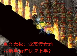 �����޼�����̬�����·�������ο������֣�