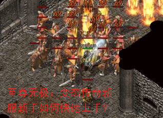 �����޼�����̬�����·�������ο������֣�