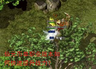 仙元币单职业版本如何快速提升战力? 仙元币单职业版本如何快速提升战力?