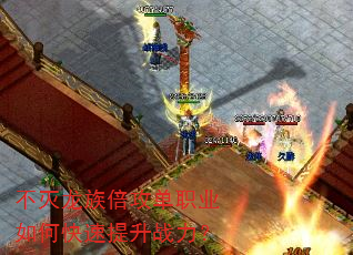 �������屶����ְҵ��ο�������ս����