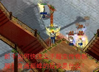 新手如何快速上手超变传奇新服?直通巅峰的秘诀是什么? 新手如何快速上手超变传奇新服?直通巅峰的秘诀是什么?