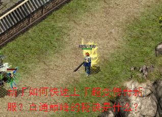 新手如何快速上手超变传奇新服?直通巅峰的秘诀是什么? 新手如何快速上手超变传奇新服?直通巅峰的秘诀是什么?
