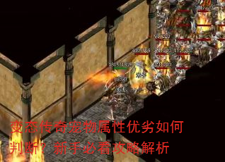 变态传奇宠物属性优劣如何判断?新手必看攻略解析 变态传奇宠物属性优劣如何判断?新手必看攻略解析