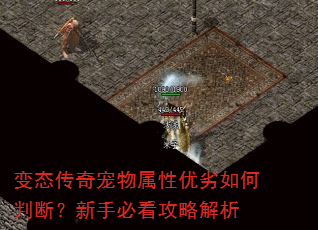 变态传奇宠物属性优劣如何判断?新手必看攻略解析 变态传奇宠物属性优劣如何判断?新手必看攻略解析