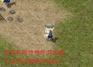 变态私服传奇怀旧版道士如何快速提升等级? 变态私服传奇怀旧版道士如何快速提升等级?