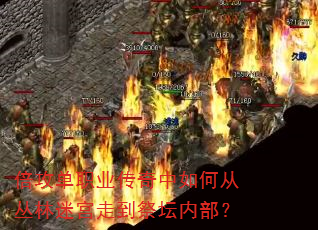 倍攻单职业传奇中如何从丛林迷宫走到祭坛内部? 倍攻单职业传奇中如何从丛林迷宫走到祭坛内部?
