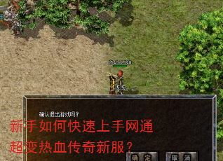 新手如何快速上手网通超变热血传奇新服? 新手如何快速上手网通超变热血传奇新服?