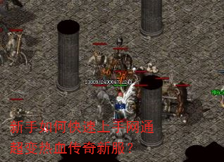 新手如何快速上手网通超变热血传奇新服? 新手如何快速上手网通超变热血传奇新服?