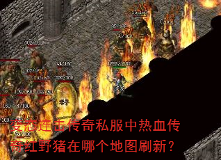 ��̬��������˽������Ѫ�����Ұ�����ĸ���ͼˢ�£�